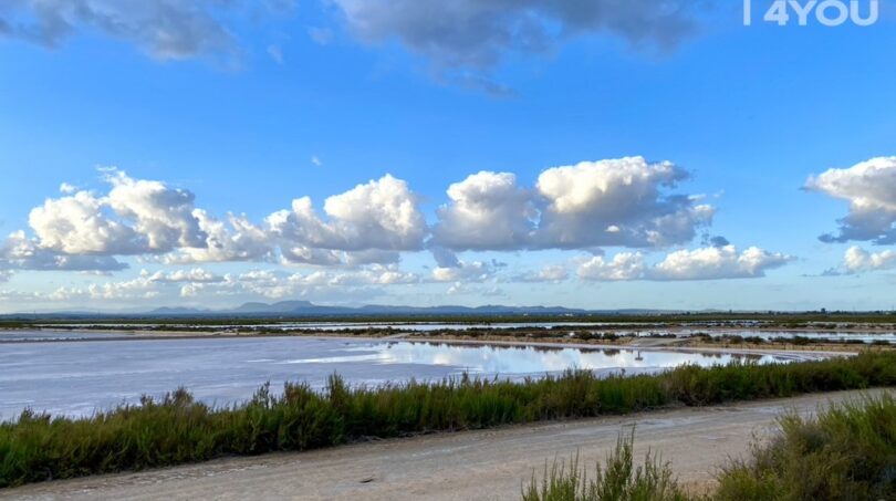 Salines