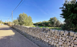 Sonniges Baugrundstück am Stadtrand von Ses Salines, 1071m², Wasser Strom, Traumaussicht, Steinmauer