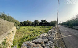 Herrliches Baugrundstück in Ses Salines, ruhige Lage & Natur, 239m² Wasser und Strom, Traumaussicht