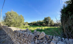 Ideales Baugrundstück in Ses Salines, ruhige Lage & Natur, 256m² Wasser und Strom, Traumaussicht