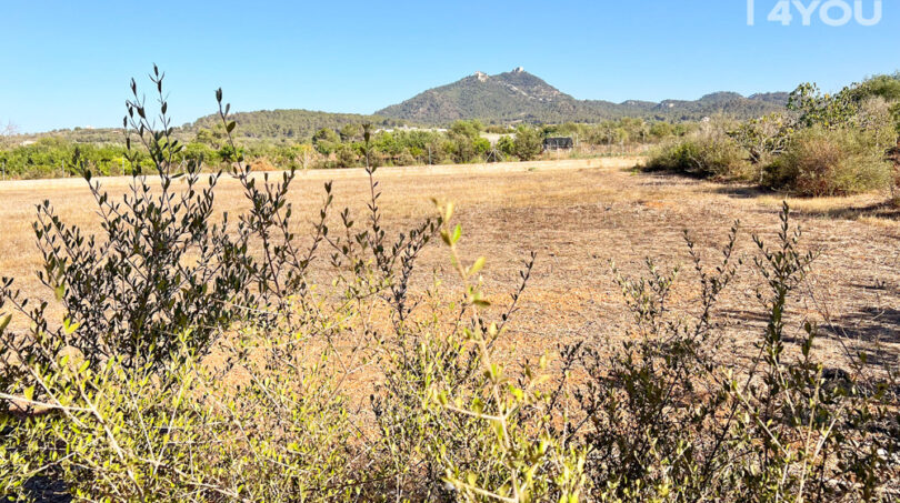 Blick auf den San Salvador