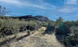 Exklusives Baugrundstück in Sineu am Puig de Sant Nofre, 17.984m² Naturidylle, 269m² bebaubar